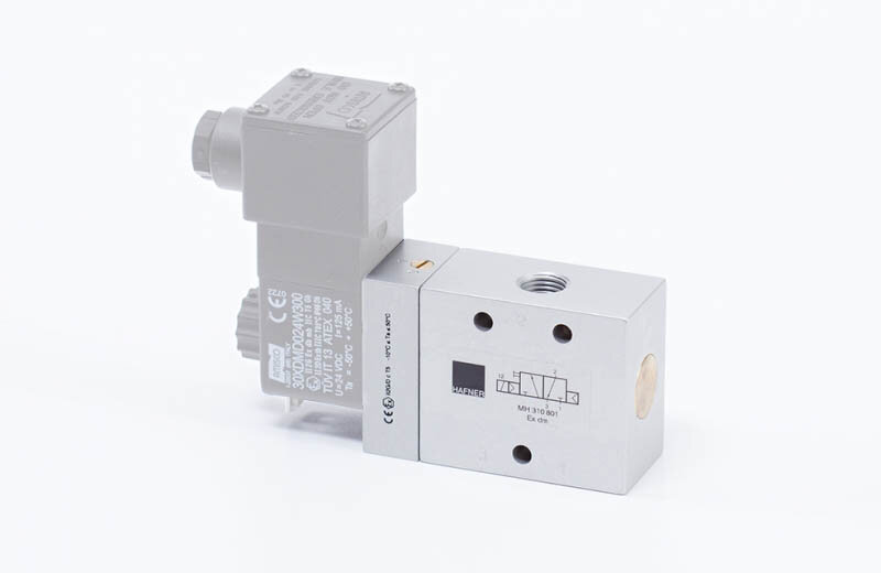 MH 310 801 EX DM