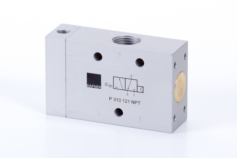 P 310 121 NPT